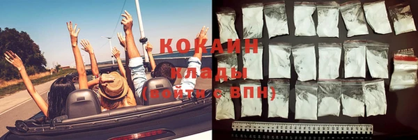 твердый Аркадак