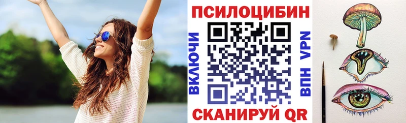 Галлюциногенные грибы Psilocybine cubensis  Острогожск 